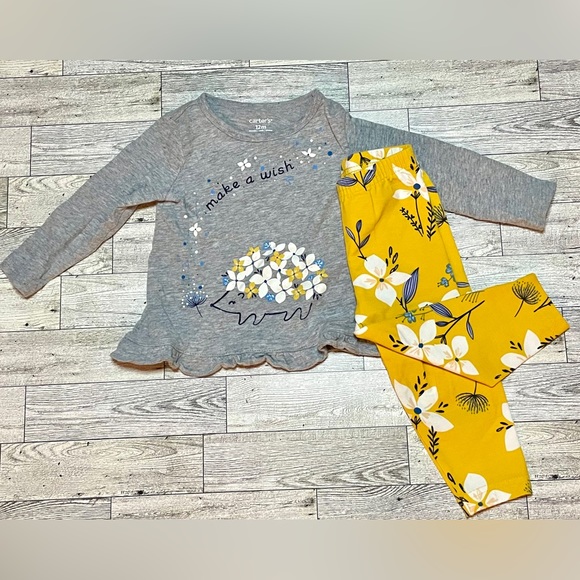 Carter’s Baby Girls Two-Piece Hedgehog Floral Set- 12 M - Picture 1 of 6